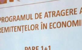 Încă 38 de proiecte ale muncitorilor migranți vor primi finanțare de la stat