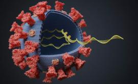 Cercetătorii au identificat o mutaţie a virusului SARSCoV2 care provine din Spania şi sa extins în Europa Studiu