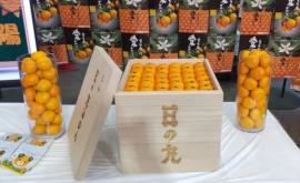 В Японии продали 20 килограмм мандаринов за 10 тысяч долларов