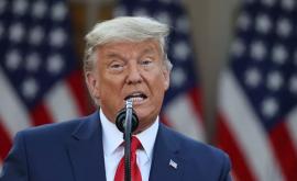 Trump intenționează să demonstreze încălcări grave ale Constituției SUA în alegeri