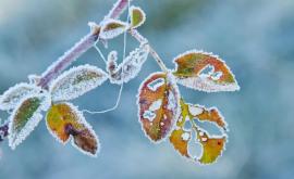 Meteorologii avertizează Vine frigul peste Moldova