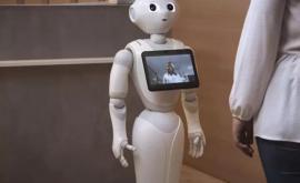 Японцы придумали робота который контролирует соблюдение масочного режима