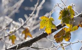 Prognoza meteo pentru 20 noiembrie Primii fulgi