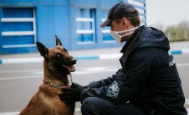 Ситуация на границе сколько человек въехало в страну за последние 24 часа