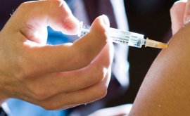 Сколько человек были вакцинированы от сезонного гриппа 