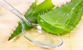 Ce se întîmplă dacă bei suc de aloe vera de două ori pe zi