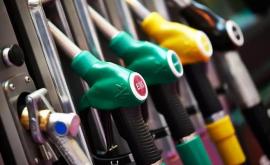 Evoluția prețurilor la carburanți medicamente și produse de panificație discutată la Guvern