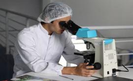 Cercetătorii au descoperit o vulnerabilitate a celulelor canceroase