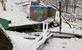 Izvorul Tamara din Parcul Valea Morilor va fi reabilitat