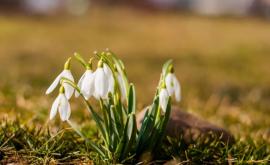 Prognoza meteo pentru 6 martie Vreme răcoroasă