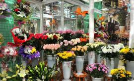 Налоговики проверят продавцов цветов