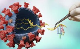 Opinie În Republica Moldova există cel puțin două din cele trei tulpini noi ale coronavirusului