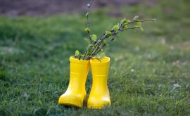 Prognoza meteo pentru 20 martie Ploile dispar din peisaj