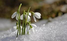 Prognoza meteo pentru 7 aprilie Iarnă în plină primăvară