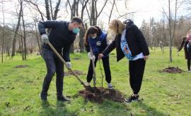 La Chișinău a fost amenajată Grădina memoriei FOTO