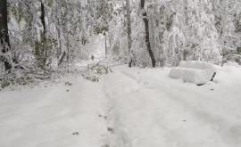 Omăt pînă la genunchi în plină primăvară Ce se întîmpla acum 4 ani în Moldova