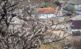 Prognoza meteo pentru 26 aprilie Vom avea parte de o săptămînă însorită