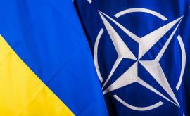 Ucraina a numit aderarea la NATO istoric inevitabilă