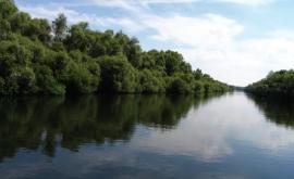 Трагедия на Днестре мужчина утонул пытаясь скрыться от приднестровских пограничников