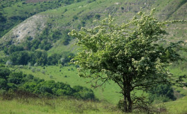 Прогноз погоды на 26 мая Тепло и солнечно