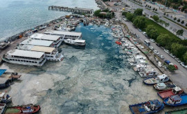 Fenomen neobișnuit pe coastele Mării Marmara FOTO