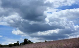 Prognoza meteo pentru 15 iunie Vreme ploioasă dar caldă