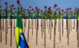 Пляж Копакабана был покрыт красными розами