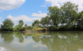 Повлияет ли на кишиневцев повышение уровня воды в Днестре