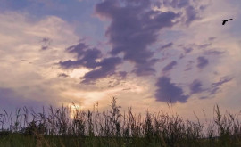 Prognoza meteo pentru 26 iunie Weekendul începe cu ploi