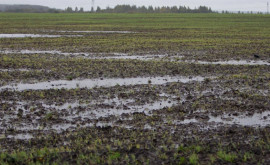 Autoritățile trebuie să intervină de urgență în ajutorarea agricultorilor Opinie