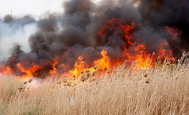 20 de incendii în 24 de ore