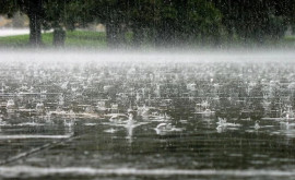 Cod galben meteo în Moldova vînt puternic si ploi în nord și în centru