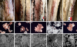 Neanderthalienii autorii unor picturi rupestre dintro peșteră spaniolă