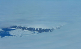 Арктика ежегодно теряет лед в объеме 5 млн олимпийских бассейнов