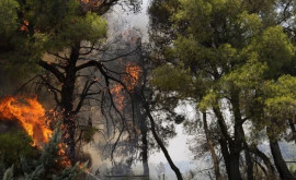 Situl arheologic din Grecia unde aveau loc Jocurile Olimpice în pericol