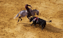 Întrun oraș spaniol a fost anulată corida din cauza numelor taurilor