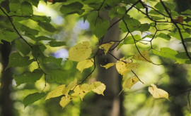 Prognoza meteo pentru 7 septembrie Vremea rămîne neschimbată