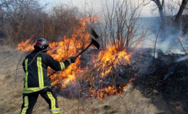 Peste 20 de focare de vegetație au fost stinse în diferite raioane ale țării