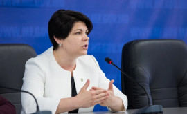 Premierul a avut o întrevedere cu reprezentanții Asociației MĂR