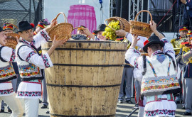 Se va organiza sau nu ziua vinului anul acesta