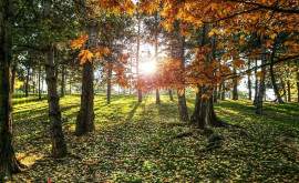 Prognoza meteo pentru 17 septembrie Temperaturi de pînă la 29 de grade