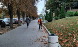 Ion Ceban cheamă locutorii capitalei la salubrizarea oraşului