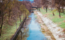 Marea curățenie la Chișinău Peste 5 km din albia rîului Bîc au fost salubrizati