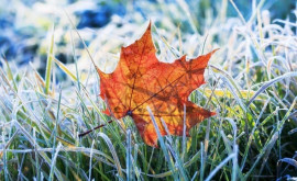 Vin înghețurile Ce temperaturi vom avea în acest weekend