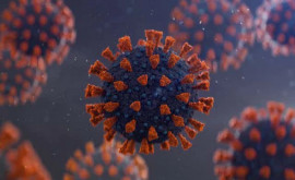 În Rusia a fost identificată o nouă tulpină a coronavirusului AY42