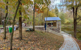 În Pădureaparc Rîșcani au loc lucrări de reabilitare a izvorului Grigore Vieru