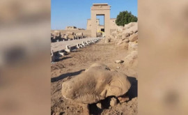 Statui gigantice reprezentînd capete de berbeci descoperite dea lungul Căii sfincşilor din Luxor