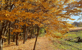 Prognoza meteo pentru 29 octombrie