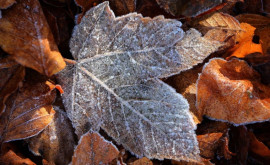 Prognoza meteo pentru 24 noiembrie