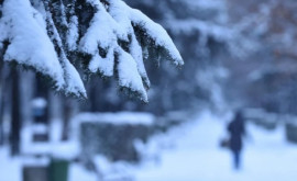 Familiile cu un venit lunar de până la 3100 lei vor primi ajutor pentru perioada rece a anului